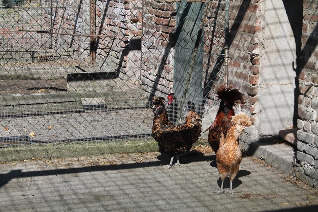 Agriturismo Le Clementine Badia Polesine 外观 照片
