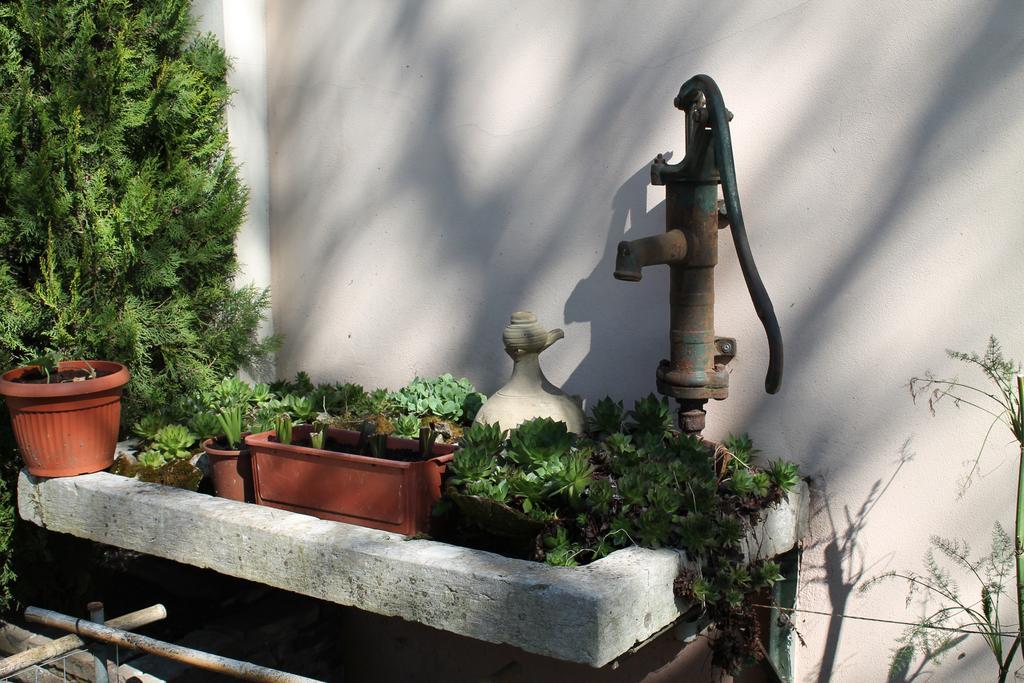 Agriturismo Le Clementine Badia Polesine 外观 照片