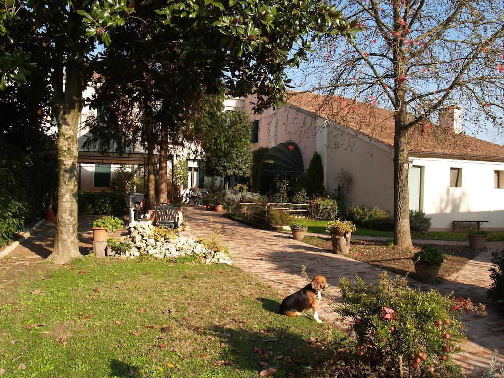 Agriturismo Le Clementine Badia Polesine 外观 照片