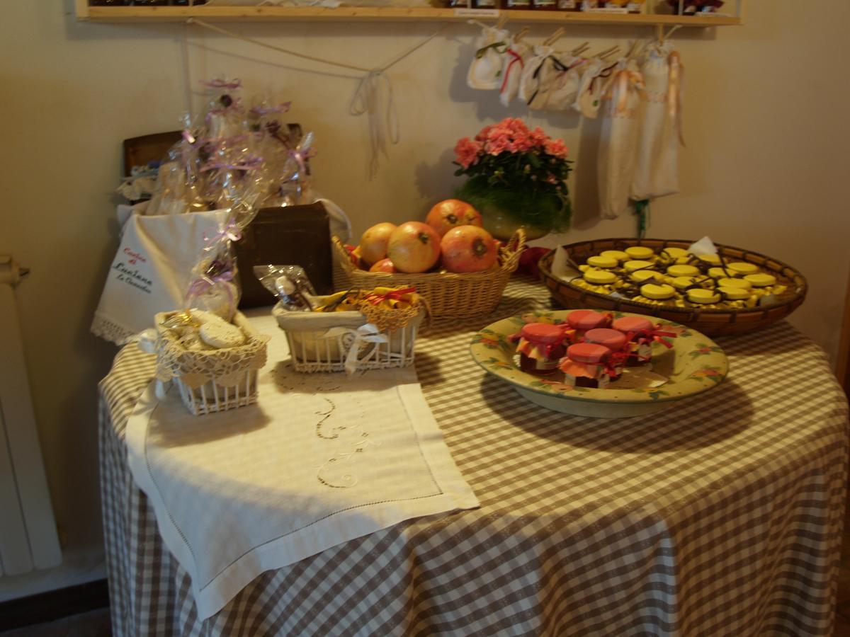Agriturismo Le Clementine Badia Polesine 外观 照片